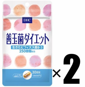 DHC サプリメント 善玉菌ダイエット 30日分×2個セット ディーエイチシー 健康食品