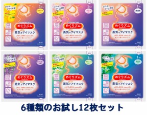 【6種類のお試しアソートセット】花王 めぐリズム 蒸気でホットアイマスク 12枚 6種×各2枚ずつ 無香料、カモミール、ローズ、ラベンダー