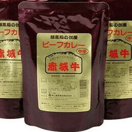 「赤城牛のとりやま」赤城牛カレー 10(中辛5 辛口3 甘口2)《送料無料》  群馬 プレゼント ギフト 贈答 贈り物 ご褒美 お中元 お歳暮 お祝