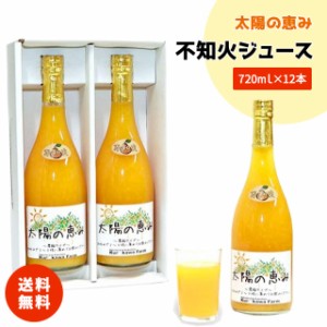 【太陽の恵み不知火12本】不知火 デコポン ジュース みかん ドリンク 12本 ギフト プレゼント 贈り物 濃縮 希釈 お中元 お歳暮 送料無料 