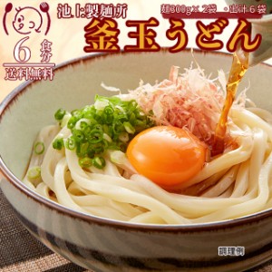 ポイント20倍 池上製麺所 釜玉生うどん6食 讃岐 ダシ醤油 香川直送 ご当地食品グルメ セール  送料無料  お取寄せ ポイント消化 お試し