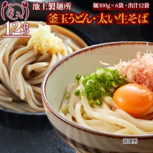 ポイント20倍 池上製麺所釜玉生うどん蕎麦各6食セット 讃岐香川 ダシ醤油 直送ご当地食品グルメ セール 送料無料 お取寄せ ポイント消化 