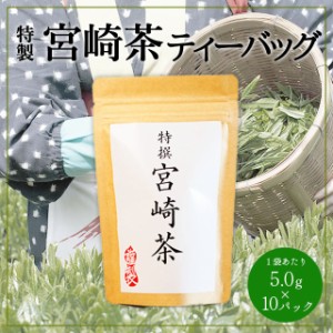 【沢田園特製宮崎茶10】送料無料 宮崎茶  緑茶 日本茶 煎茶 ティーバッグ 時短 ギフト お試し ポイント 消化 母の日 父の日 お中元 お歳