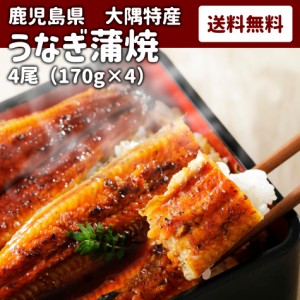 【うなぎ4尾】 鹿児島 ウナギ かば焼き 蒲焼 鰻 送料無料 冷凍 父の日 母の日 ギフト 母の日 父の日 お中元 お歳暮 ギフト