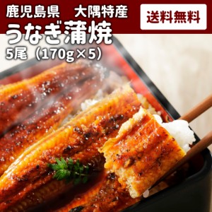 【うなぎ5尾】 鹿児島 ウナギ かば焼き 蒲焼 鰻 送料無料 冷凍 父の日 母の日 ギフト 母の日 父の日 お中元 お歳暮 ギフト