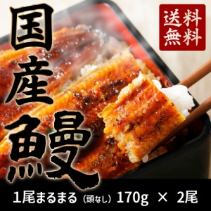 【うなぎ2尾】 鹿児島 ウナギ かば焼き 蒲焼 鰻 送料無料 冷凍 父の日 母の日 ギフト 母の日 父の日 お中元 お歳暮 ギフト