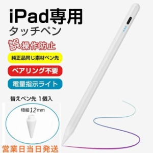 iPad専用 タッチペン ipad ペンシル 電量表示 極細 超高感度 高精度 誤on/off防止 スタイラスペン 傾き感知/磁気吸着/誤作動防止機能対 