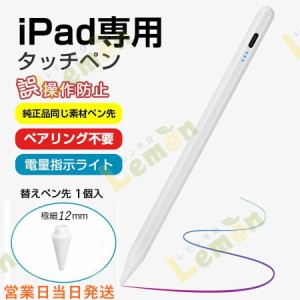 iPad専用ペン タッチペン ipad ペンシル 電量表示 極細 超高感度 高精度 誤on/off防止 スタイラスペン 傾き感知/磁気吸着/誤作動防止機能