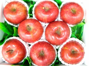ふじりんご 8個入り りんご リンゴ　林檎　送料無料（北海道、沖縄県は送料1000円追加させていただきます。）