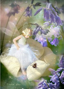 天使 妖精 絵画 ソング オブ ブルーベルズ（ブルーベルの詩）  グリーティング メッセージ カード フェアリー エンジェル フォトグラフ 