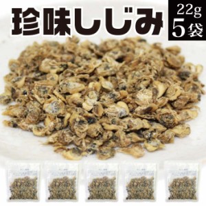 珍味しじみ 110g（22g×5袋）【小分け ドライ 乾燥 しじみ おつまみ お取り寄せ グルメ お試し ポイント消化 食品 常温 お酒のお供 お酒