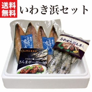 冷凍 海鮮ギフト いわき浜セット 【福島 いわき 送料無料 国産 常磐もの さんま さば めひかり 目光 お取り寄せ  産直 グルメ 食品 プレ