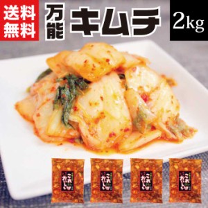 万能キムチ2kg（500g×4袋） 白菜キムチ カット済 国産白菜 韓国産唐辛子 白菜キムチ キムチ送料無料 酸っぱい 辛い 酸味 旨辛 発酵食品 