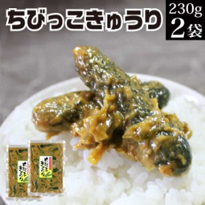 漬物 ちびっこきゅうり230g×2袋 【胡瓜 ちびきゅうり お漬物 漬け物 つけもの 詰め合わせ 産直 お取り寄せ ご飯のお供 ごはんのお供 ご