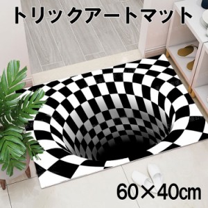 ポイント10倍 玄関マット トリックアート 3D 錯覚 60x40 新作 室内用玄関マット ラグマット リビング カーペット 長方形 洗える 室内 屋