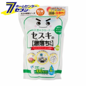 レック LEC セスキの激落ちくん　セスキ炭酸ソーダ　500g