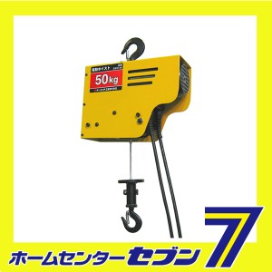  電動ホイスト50KG DWH-50 オーエッチ工業　 [作業工具 スリング ジャッキ チェンブロック]