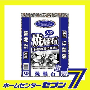 プレミアムソイル焼軽石砂大粒 2L 大宮グリーンサービス [ガーデニング 土]