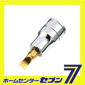 マイナスビットソケット9.5 SS3-06藤原産業 [作業工具 ソケット 3/8ヘキサゴン]