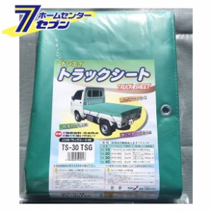  軽トラック用 トラックシート荷台シート TS-30TSG TRST30TSG 南栄工業 TSG生地【メーカー直送：代引き不可】