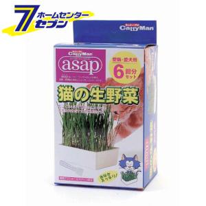 栽培 キットの通販 Au Pay マーケット 栽培 キットの通販 Au Pay マーケット