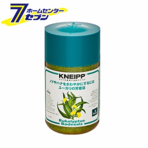 入浴剤 バスソルト クナイプ ユーカリの香り（850g）KNEIPP