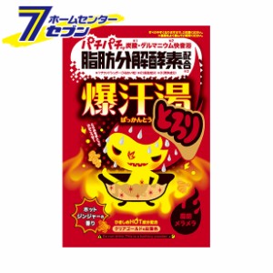 入浴剤 爆汗湯 ホットジンジャーの香り 60g  バイソン 脂肪分解酵素シリーズ  [炭酸 保湿 発汗 美容]