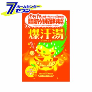 入浴剤 爆汗湯 ゆずジンジャー 60g  バイソン 脂肪分解酵素シリーズ [炭酸 保湿 発汗 美容]