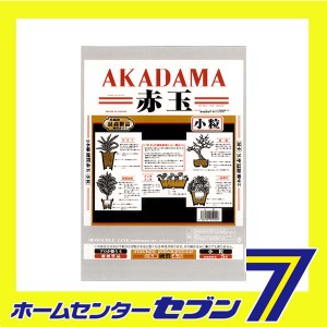 二本線硬質赤玉土 小粒 5L 大宮グリーンサービス [ガーデニング 土 肥料 薬]