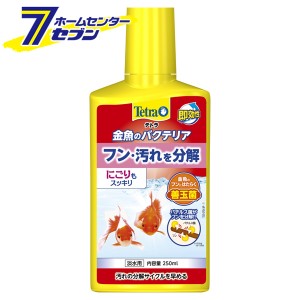 テトラ 金魚のバクテリア 250ml  スペクトラムブランジャパン [きんぎょ 淡水 フン対策 汚れ分解 水質調整剤 アクアリウム用品]