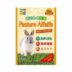 ハイペット パスチャーアルファルファ 400g  ハイペット [牧草 うさぎ主食 ウサギ]