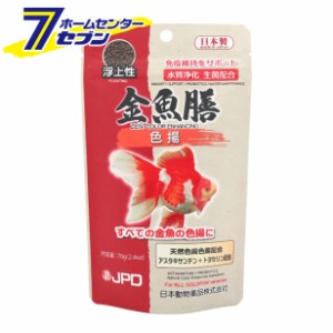 金魚膳 色揚 70g  日本動物薬品 [餌 エサ 免疫維持 沈下性]