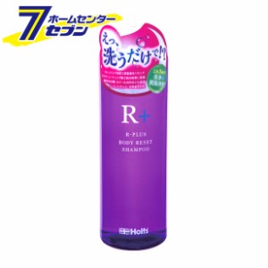 アールプラスシャンプー 480ml MH7030 武蔵ホルト [ストレートタイプ 脱脂 水垢 虫汚れ ワックス残り 洗車]