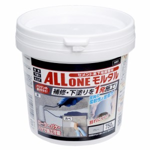 オールワンモルタル A001 グレー 750g  アサヒペン [補修 下塗り 補修材 未塗装のコンクリート 壁面 床面 仕上げ材 セメント系下地調整材