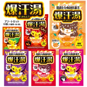 入浴剤【送料無料】 爆汗湯 5種類×2包セット(全10包) アソート 60g ※種類は選べません  バイソン [入浴剤 脂肪分解酵素配合 ゲルマニウ