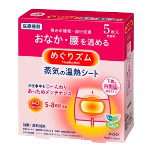 めぐりズム 蒸気の温熱シート 下着の内側面に貼るタイプ (5枚入)  花王 [温熱用具 温熱 パッド おなか お腹 腰 医療器具 kao]