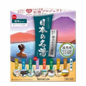 日本の名湯 澄みわたる豊潤 (30g*14包入)  [入浴剤 疲労回復 肩のこり 冷え症 腰痛 神経痛 リウマチ 痔 荒れ性 あせも しっしん にきび 