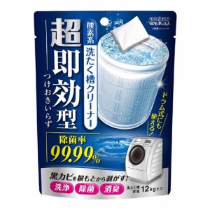 超即効型洗たく槽クリーナー (120g)  [酸素系 洗濯槽 カビ 雑菌 汚れ ウェルコ]