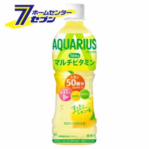 アクエリアス 1日分のマルチビタミン PET 500ml 24本 【1ケース販売】  [スポーツドリンク スポドリ 熱中症対策 コカコーラ ドリンク 飲