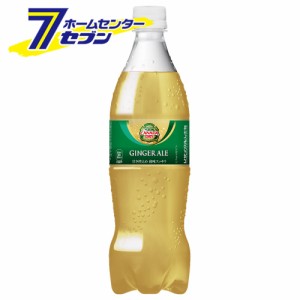 【送料無料】 カナダドライ ジンジャーエール PET 700ml 40本 【2ケース販売】  コカ・コーラ [コカコーラ ドリンク 飲料・ソフトドリン