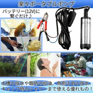 ポータブル 小型 ポンプ 12V 対応 ミニポンプ スイッチ コード 3m 排水 給水 吸水 廃油 給油 吸い上げ シャワー アウトドア キャンプ 車 