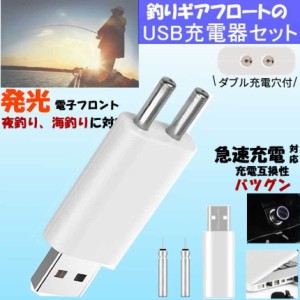 電気 ウキ USB 充電器 セット ピン型 電池 充電 2ポート 2穴 釣り ギア 電子 フロート 発光 竿先 ライト 竿 釣り竿 ロッド 耐久性 夜釣り