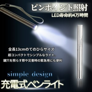 小型 LED ペンライト USB 充電 懐中 電灯 作業灯 ペン ライト ハンディ ミニ ペン型 作業 コンパクト アウトドア 釣り キャンプ 簡単 操