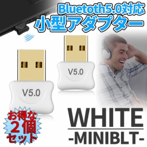 Bluetooth 5.0 アダプタ USB ドングル 2個 無線 送信 受信 送受信 ホワイト 小型 ブルートゥース ワイヤレス ノート パソコン PC 簡単 接