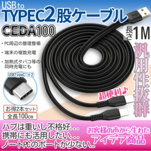 USBケーブル type-c USB タイプC 2股 ケーブル 1m 2本セット type-cケーブル 二股 同時 充電 延長 増設 分配 スマホ タブレット iPad 電