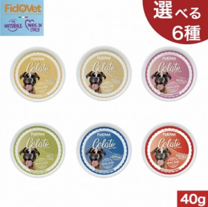 【選べる6種セット】FidOVet フィドベット ジェラート 40ｇ 6個セット 犬 おやつ アイス 犬 おやつ アイス デザート FidOVet