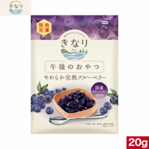 きなり 午後のおやつ やわらか完熟ブルーベリー 20g 正規品 犬用 国産