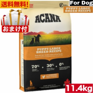 【送料無料】アカナ パピーラージブリードレシピ 11.4kg ドッグフード 正規品 ドライフード ドライ 大型犬 子犬用 仔犬用 パピー ACANA 