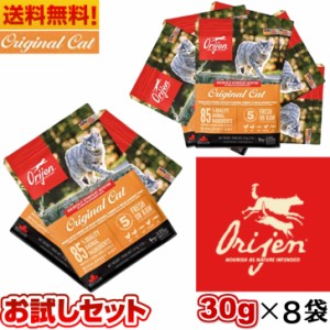 【賞味期限202４.12.19】送料無料 オリジン オリジナル キャット （旧 キャット＆キトゥン ） サンプル 30g 8袋セット キャットフード バ