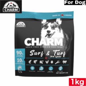 CHARM（チャーム）サーフ＆ターフドッグ 1kg ドッグフード 正規品 ペットフード ペット用品 お試し サイズ 全犬種 犬用